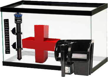 aquário hospital